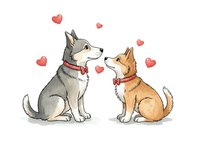 Two adorable dogs in love with floating hearts, husky and corgi couple sitting together on white background for romantic pet designs and greeting cards.