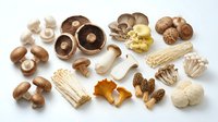 Fresh assorted mushrooms collection including shiitake, oyster, enoki and morel varieties arranged on white background for culinary and cooking projects.