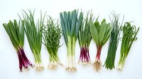 Fresh green onions scallions and leeks variety arranged in row on white background isolated for cooking ingredients and healthy food concepts.