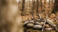 Rustic outdoor campfire setup with smooth river stones arranged in circle surrounded by dry twigs and fallen autumn leaves in forest setting for camping adventures.