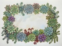 Watercolor succulent frame border with colorful rosette plants forming a rectangular wreath with empty center space for text or design.