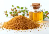 Heap of yellow mustard seeds with glass bottle of oil and fresh herbs on white background for cooking and natural remedies.