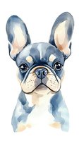 Watercolor French Bulldog portrait in blue and cream tones on white background, featuring expressive eyes and distinctive bat ears. Isolated artwork for design projects.