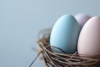 Pastel colored Easter eggs in wicker basket on neutral background for spring holiday celebration and seasonal decoration projects.