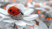 Red ladybug with black spots resting on white daisy petals against soft blurred background with orange bokeh lights, macro nature photography.