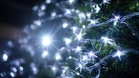 Glowing white fairy lights wrapped around green pine branches create magical holiday atmosphere with sparkling bokeh effect.