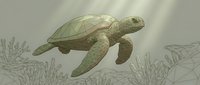 Sea turtle swimming gracefully through coral reef environment with detailed marine life illustrations in soft earth tones for educational content.
