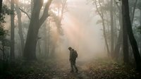 Lone soldier walking through misty forest path with dramatic sunlight beams filtering through trees, creating atmospheric military scene for storytelling projects.