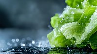 Fresh green lettuce leaves with water droplets and splashes on dark background, macro photography for food industry and healthy eating concepts.