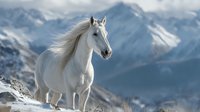 Majestic white horse with flowing mane standing on snowy mountain ridge against dramatic alpine peaks backdrop. Wild stallion in winter landscape for nature photography.