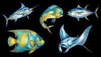 Colorful ocean fish set with marlin, mahi-mahi, tuna, angelfish, and manta ray, isolated on transparent background, ready for stickers, t-shirt design, and print on demand.