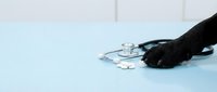 A person wearing a black glove holds a stethoscope on a light blue surface, symbolizing healthcare, medical profession, and clinical diagnosis for medical websites and educational materials.