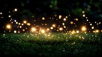 Magical glowing orbs of light floating over dark grass at night create enchanting bokeh effect, nature fantasy scene with sparkling illumination and dreamy atmosphere.