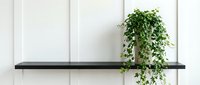 Potted trailing ivy plant on black floating shelf against white paneled wall, offering minimalist home decor and interior design inspiration for modern living spaces.