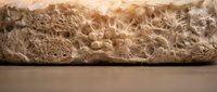 Fresh artisan sourdough bread slice showing detailed crumb structure and air pockets. Perfect for bakery marketing and food photography projects.