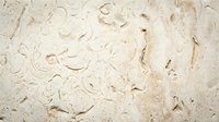 Natural limestone texture with fossil imprints and organic patterns in beige tones for interior design and architectural backgrounds.