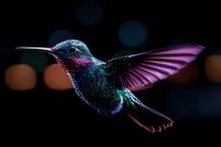 Vibrant hummingbird with iridescent blue-green feathers and purple wings captured in flight against dark background with soft bokeh lights, showing intricate details.