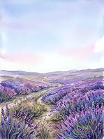 Lavender field landscape with rolling hills, winding path, and blooming purple flowers under soft pastel sky, suitable for wall art and nature designs.