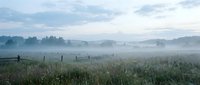 Misty morning landscape with fog rolling over rural meadow and wooden fence. Peaceful countryside scene with forest silhouette under cloudy sky at dawn.