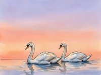 Two swans glide gracefully across calm water during golden hour, their reflections mirrored below. Serene wildlife scene suitable for home decor, greeting cards, and nature-themed designs.