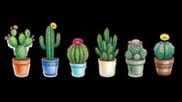 Watercolor potted cacti set with six varieties in colorful pots, isolated on transparent background, ready for stickers, T-shirts, and print on demand.