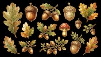 Autumn oak leaves, acorns, and mushroom botanical illustrations isolated on transparent background, ready for t-shirt design, clipart, stickers, sublimation, and print-on-demand projects.
