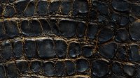 Dark textured crocodile skin pattern with brown and black tones showing natural scales and ridges, creating luxurious leather surface effect for fashion design.