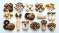 Assorted fresh mushroom varieties including shiitake, oyster, cremini, chanterelle and morel fungi arranged on white background for culinary cooking.