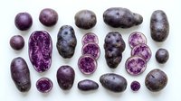 Purple potatoes whole and sliced arranged on white background, showing vibrant interior flesh. Suitable for food photography, culinary content, nutrition education, recipe blogs, and agricultural marketing materials.