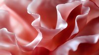 Delicate coral pink rose petals in extreme macro showing soft curves, waves and folds creating an abstract natural pattern with gentle light and shadow play.