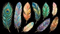 Colorful decorative feathers set isolated on transparent background, ready for stickers, t-shirt design, sublimation, print on demand, and clipart projects.