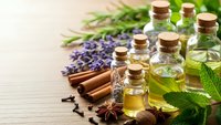 Essential oils in glass bottles with cork stoppers, lavender sprigs, cinnamon sticks and fresh herbs on wooden surface for aromatherapy and natural wellness.