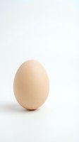 Single brown egg isolated on white background, suitable for food, nutrition, cooking, and culinary design projects.