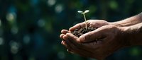 Hands holding young seedling with soil, symbolizing growth, environmental care, and sustainable agriculture for eco-friendly projects.