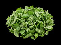 Pile of fresh chopped spinach leaves isolated on transparent background, ready for food design, clipart, stickers, print on demand, and T-shirt use.