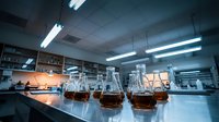 Modern laboratory interior with glass flasks containing amber liquid samples on steel counter, scientific research facility with fluorescent lighting.