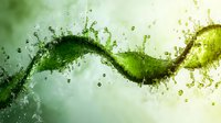 Dynamic green liquid splash forming abstract wave pattern with droplets and bubbles against light background, suitable for beverage and freshness concepts.