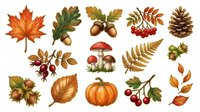 Autumn season isolated botanical elements including maple leaf, oak acorns, rowan berries, mushroom, pinecone, fern, pumpkin and fall foliage for seasonal design projects.