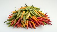 Fresh colorful chili peppers pile including red, yellow, orange and green varieties on white background, isolated food ingredient for spicy cuisine.