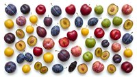 Colorful assortment of fresh stone fruits including plums, cherries and apricots arranged on white background for healthy eating and nutrition concepts.
