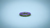 Circular lavender flower bed with purple blooms on clean background for garden design and landscaping projects.