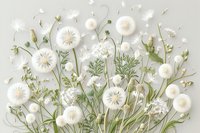 Delicate white dandelion seed heads and stems arranged in artistic flat lay composition on light background, creating ethereal botanical wall art perfect for nature-inspired home decor.