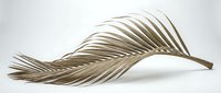 Elegant dried palm leaf with graceful curved fronds on white background, isolated botanical element for tropical decor and natural design projects.