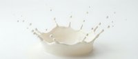 Fresh milk splash creating crown shape with droplets on white background for dairy product advertising and healthy nutrition concepts.