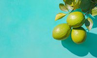 Fresh green limes with leaves on branch against turquoise background with harsh shadows. Minimal food photography style with copy space.