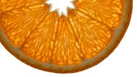 Fresh orange slice isolated on white background, showing detailed citrus texture and segments. Suitable for food, beverage, and wellness design projects.