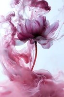 Ethereal pink flower with delicate petals surrounded by swirling smoke effects against light background, creating dreamy artistic composition for wall art and design.