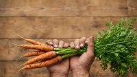 Fresh organic carrots with green tops held in hand against rustic wooden surface, suitable for farm produce, healthy eating, and agriculture marketing materials.