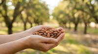 Handful of almonds held in open palm against blurred orchard background, showcasing fresh nuts harvest and agricultural produce for food and nutrition content.