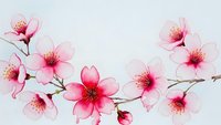 Delicate pink cherry blossom branch with soft petals and stamens on light background for spring designs, wedding invitations, and floral decorations.